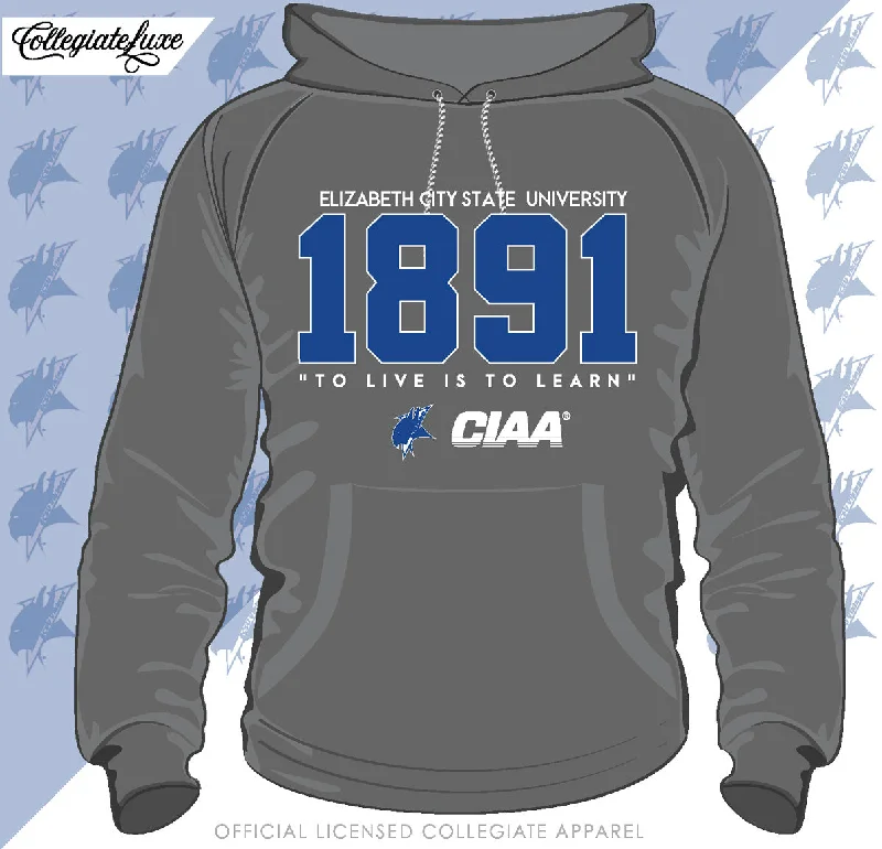 Exquisite Craftsmanship ECSU |EST. Gray Unisex Hoodie (Z) (DK)